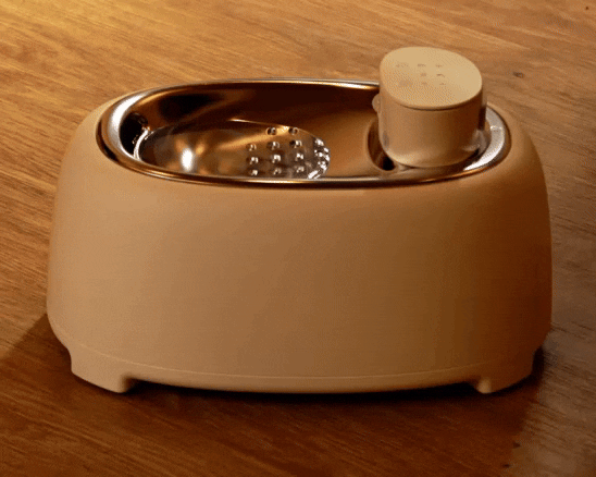 slider gallery image