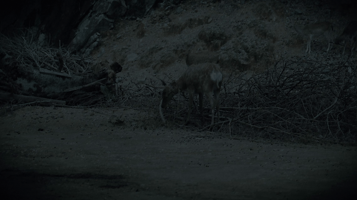 /0901f768-c27c-4eda-ad77-244c2262c154.gif