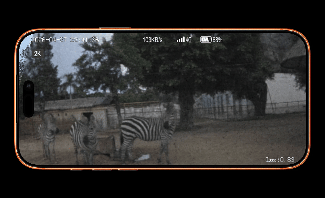/102e846a-04a2-49cd-a4e9-04ffbc6a3f00.gif
