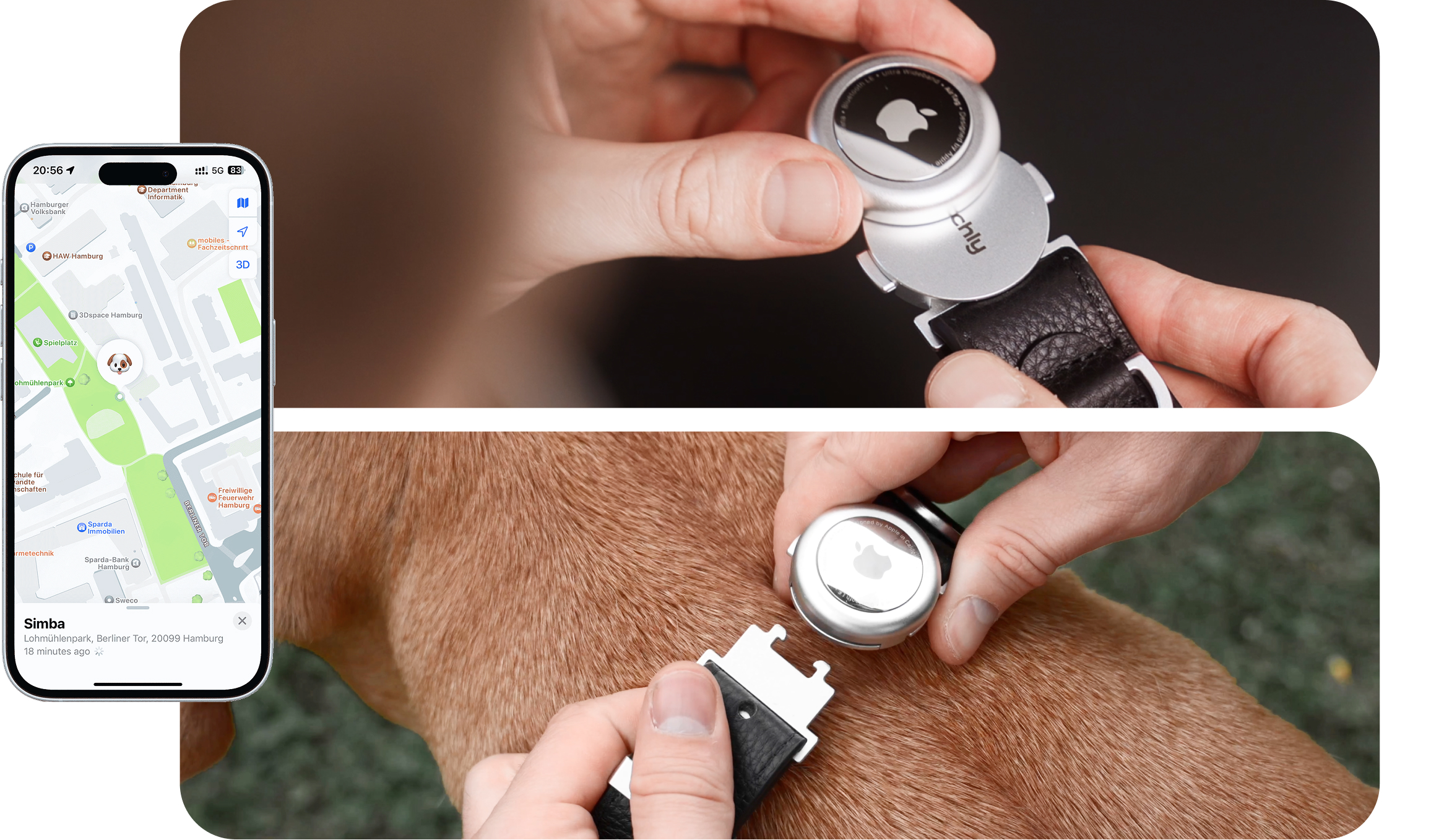 Always Know Where Your Dog Is - In Sleek Style