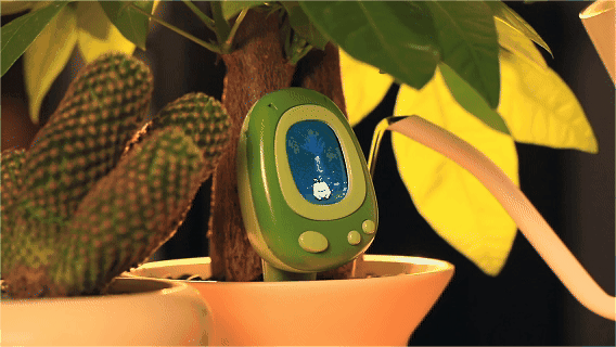 The Perfect Companion for your plants