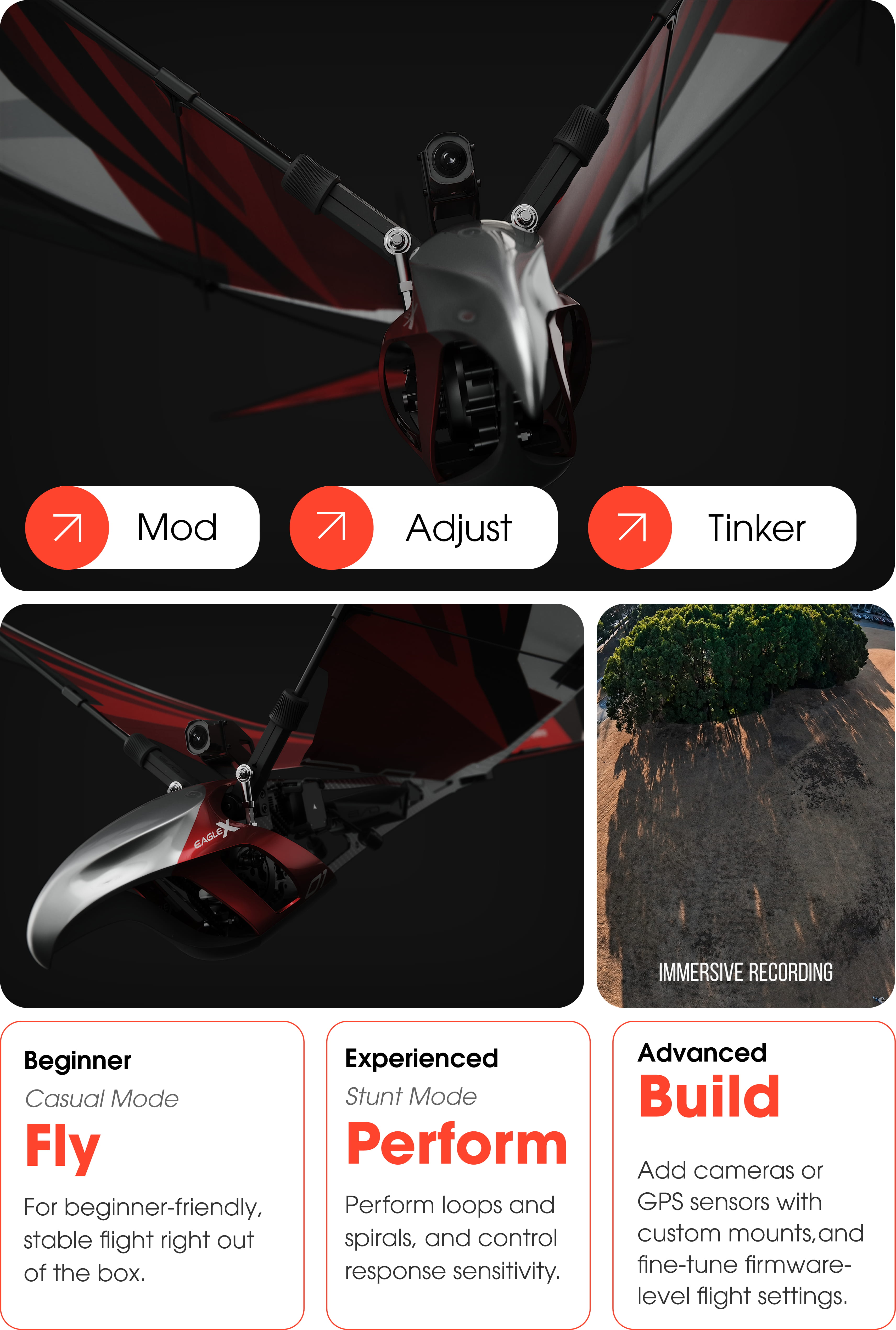 Engineer Every Wingbeat