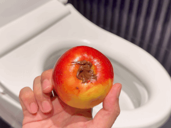 slider gallery image