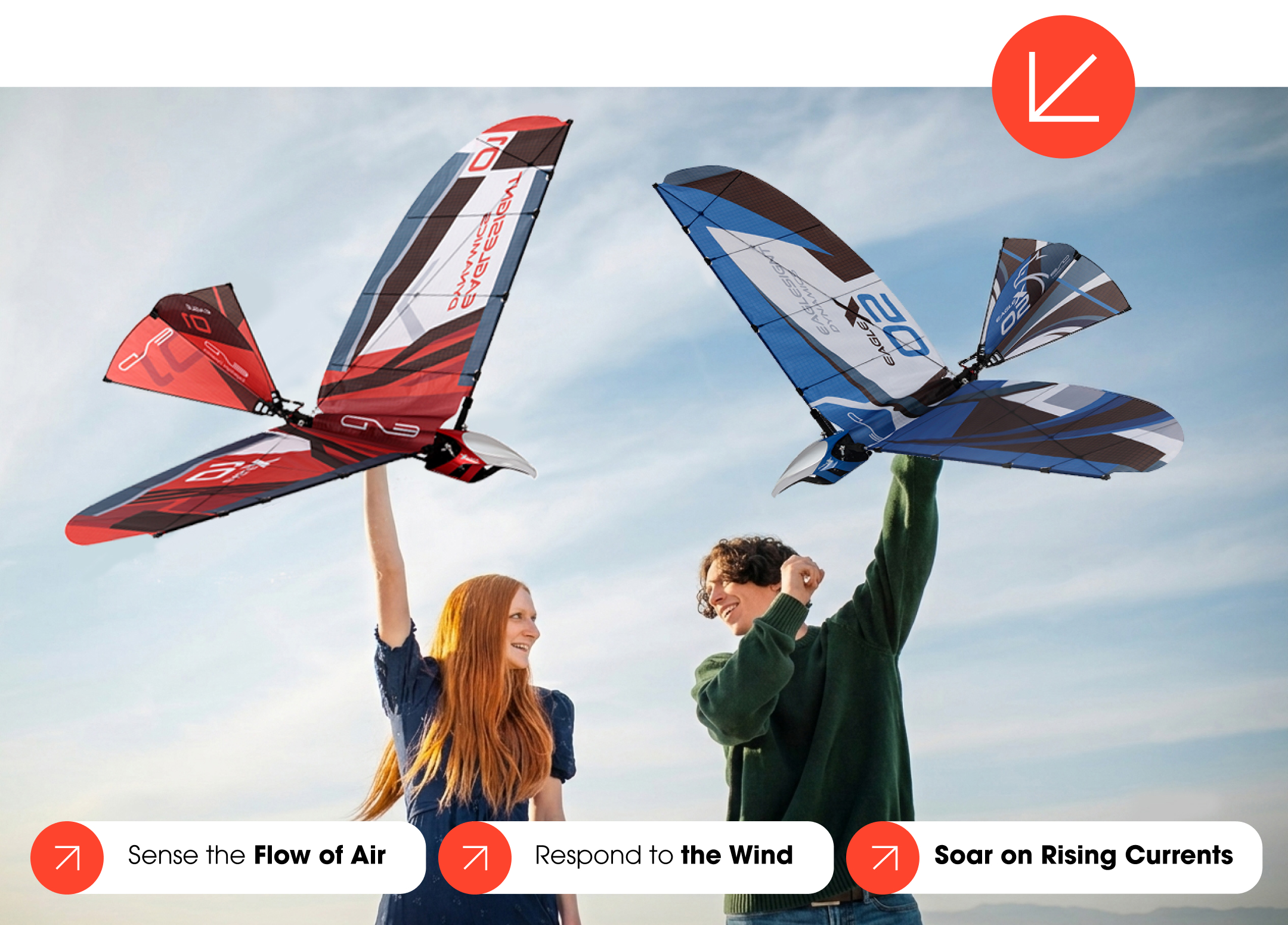 Responsive Image