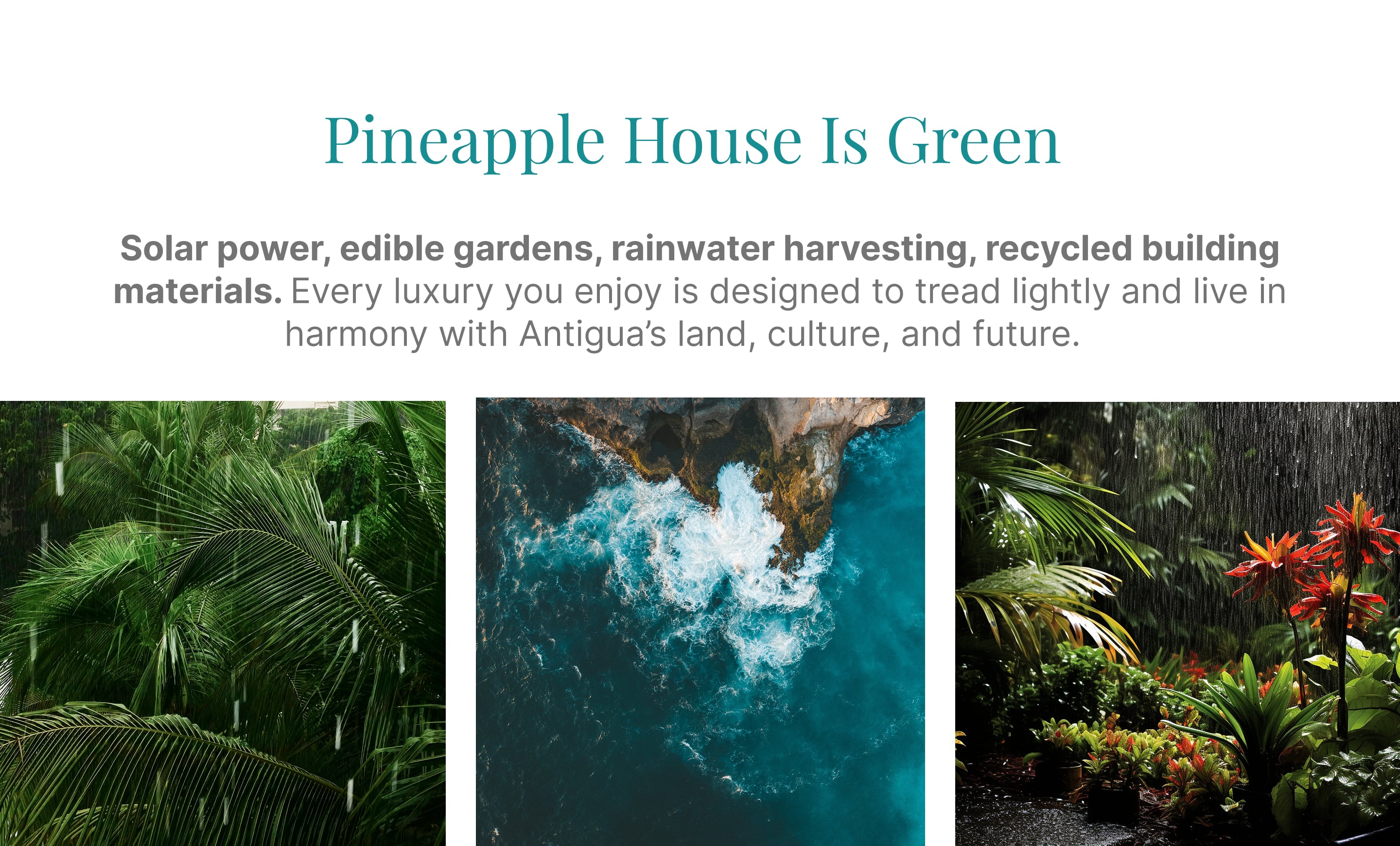 Responsive Image