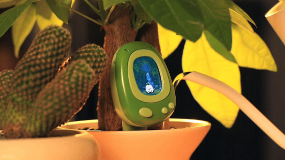 slider gallery image