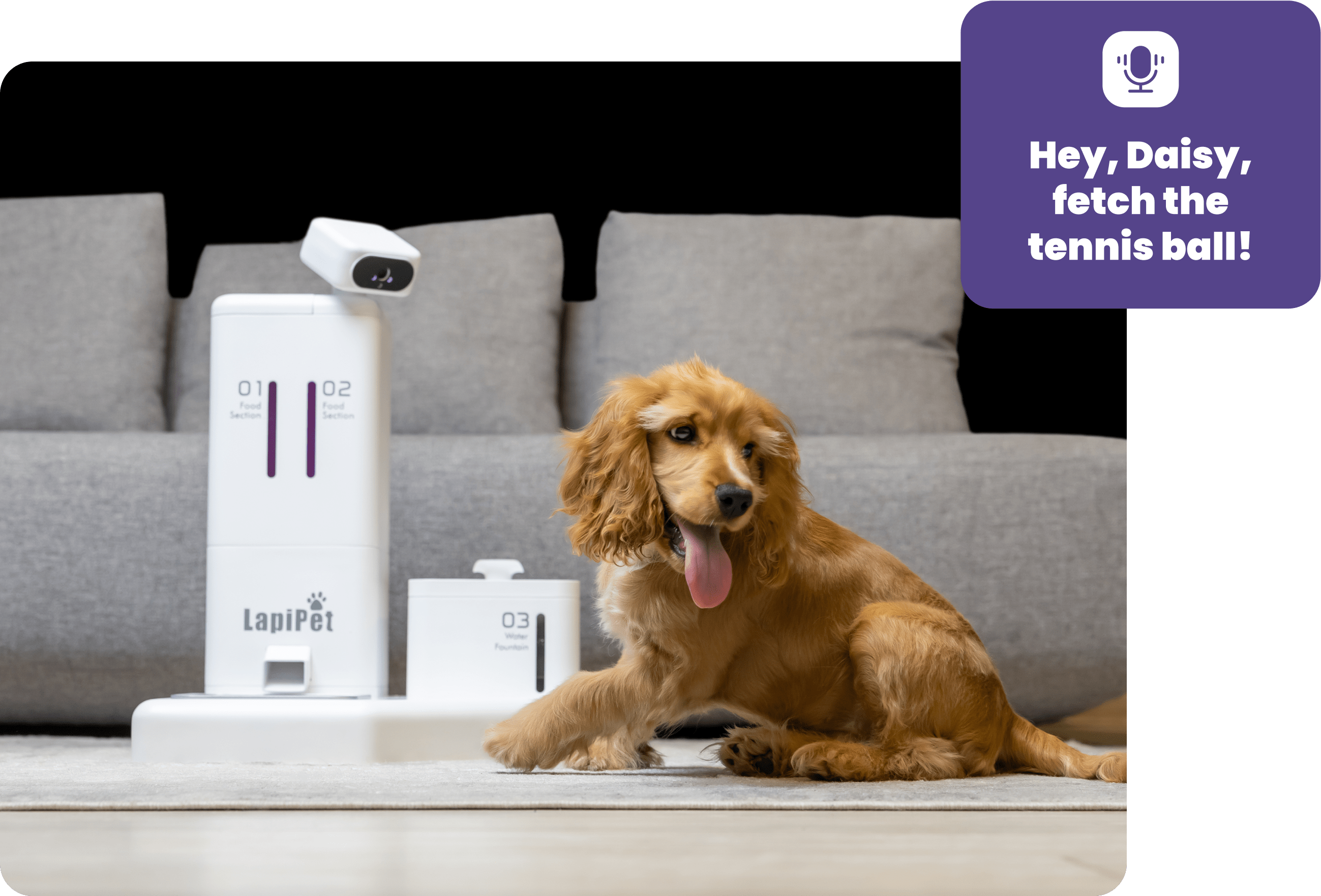 On a Break? Play with Your Pet!