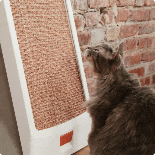 More Than a Scratcher. Daily Enrichment.