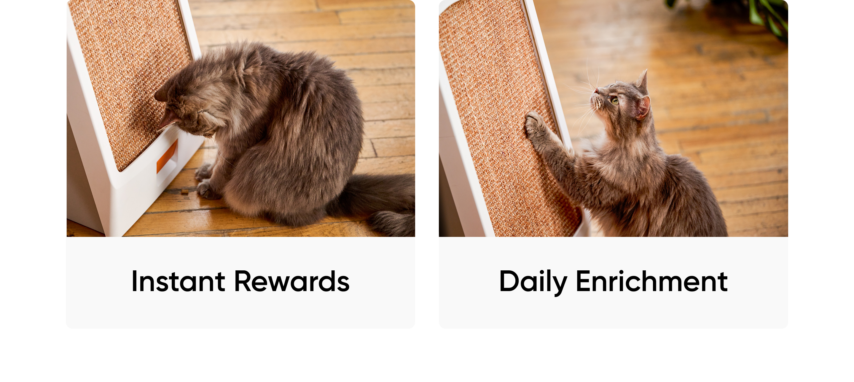 Responsive Image