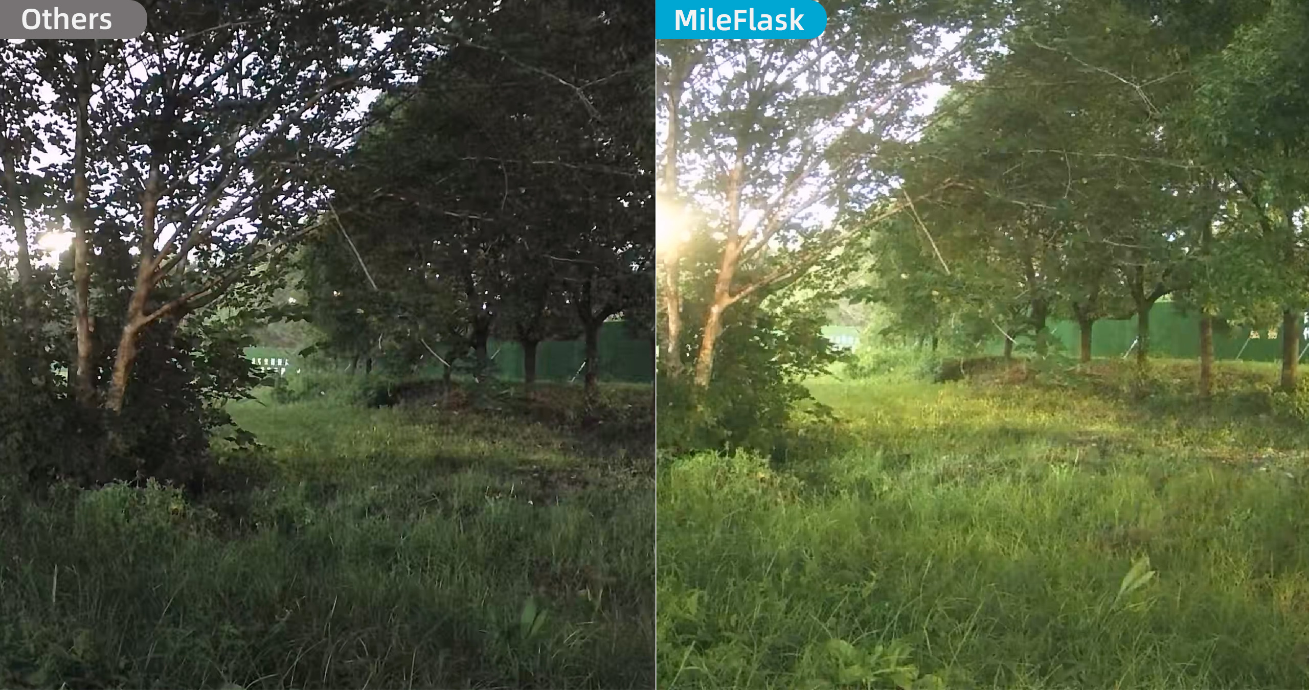 Responsive Image