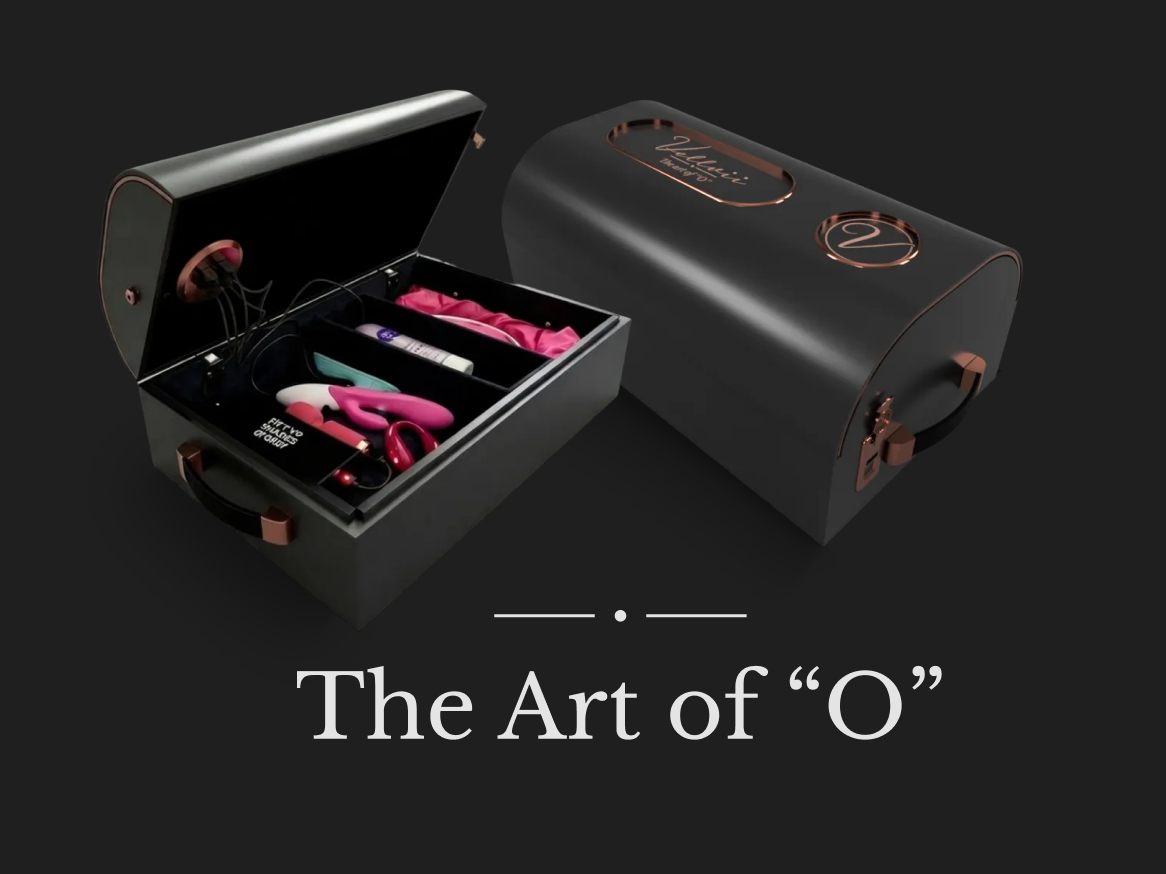 how to use toys in sex BMS The Toy Chest: Sex Toy Storage Case Small | Pink