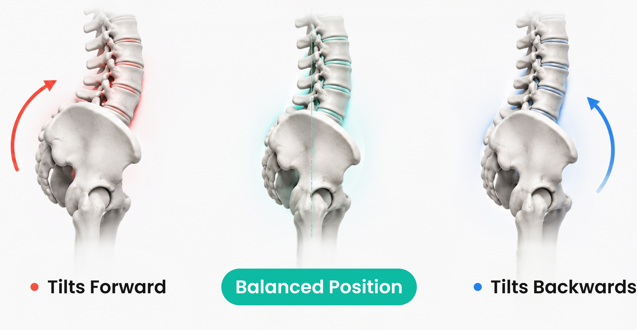 Why Pelvic Tilt Matters
