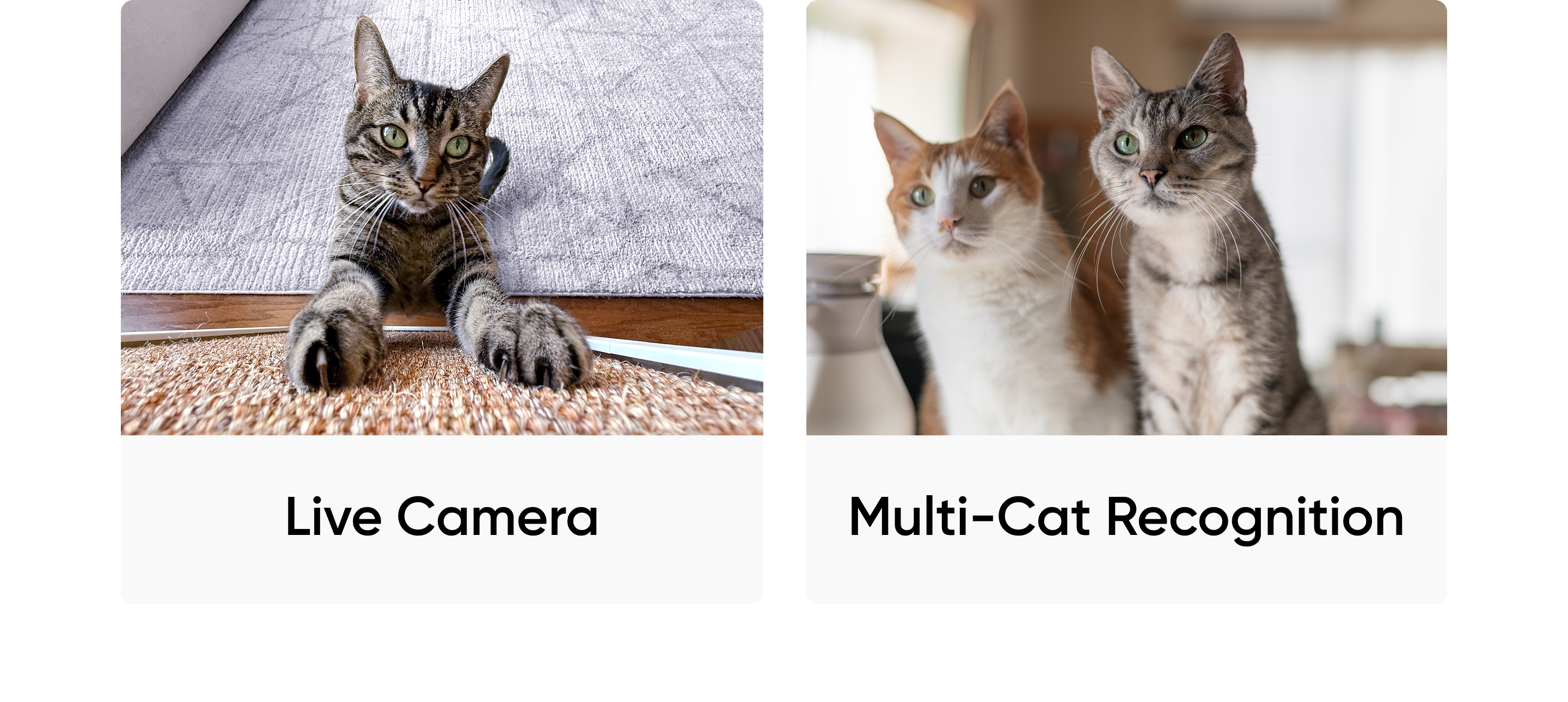 Responsive Image