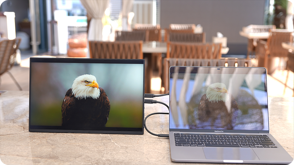 ACR Anti-Glare Display