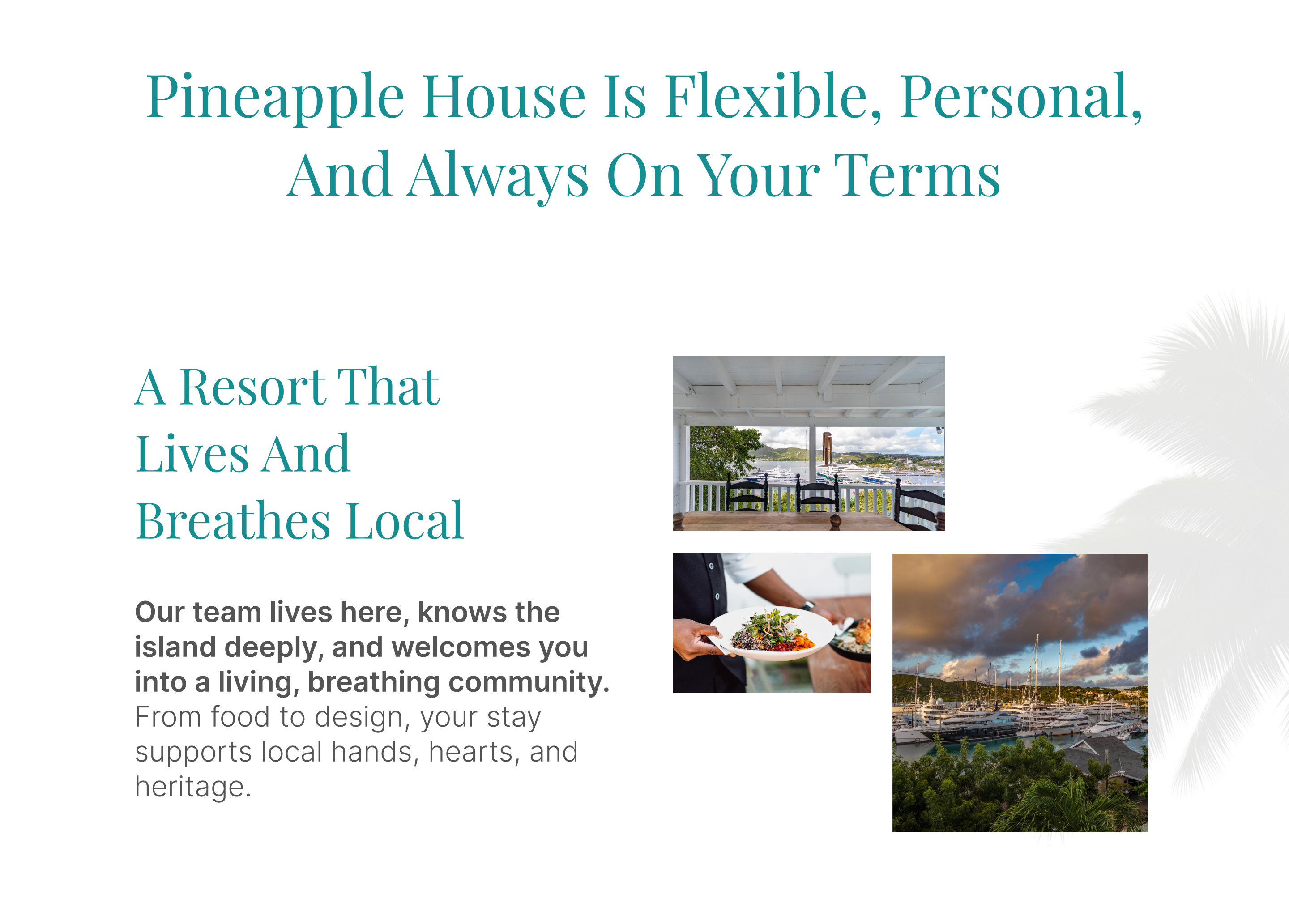 Responsive Image