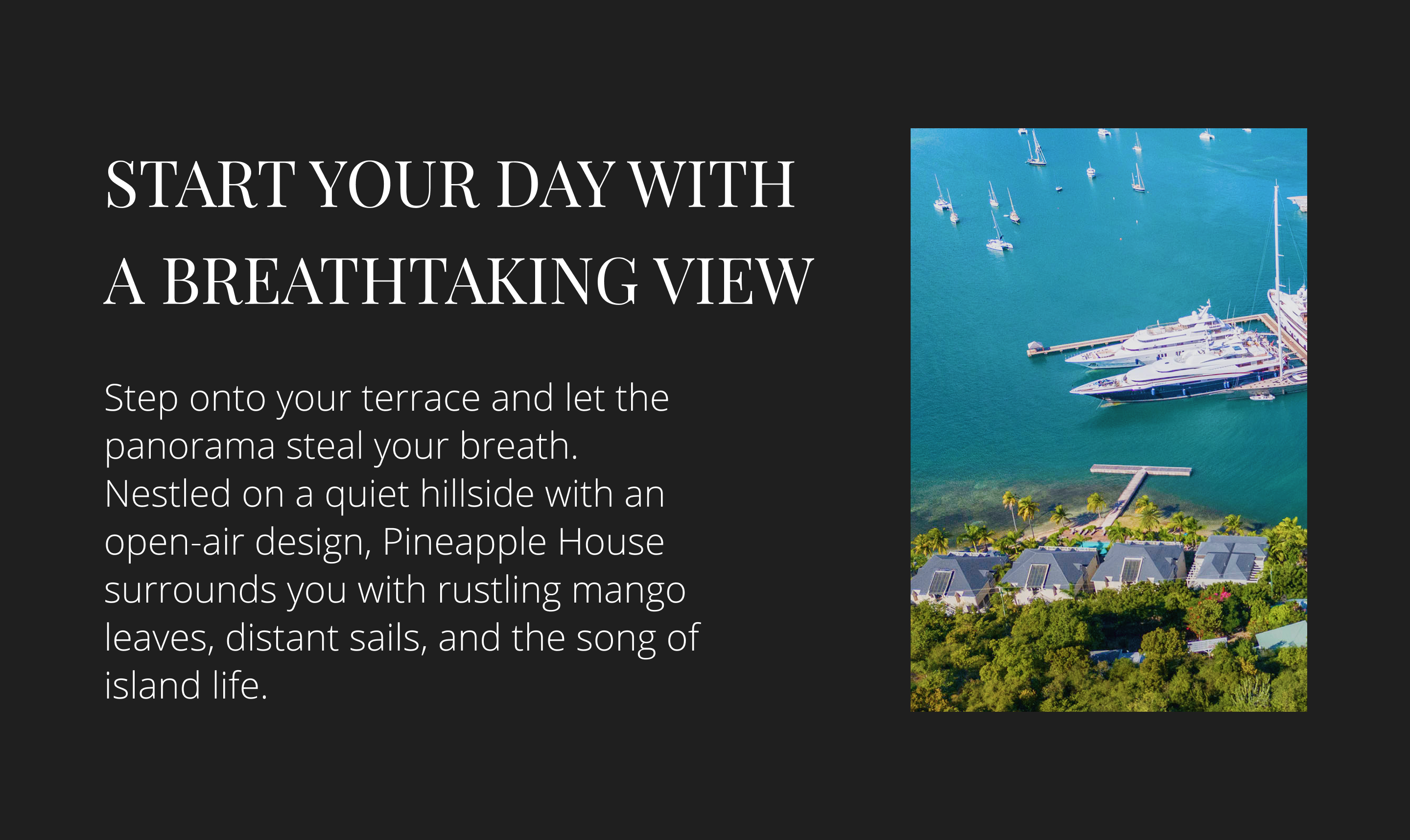 Responsive Image