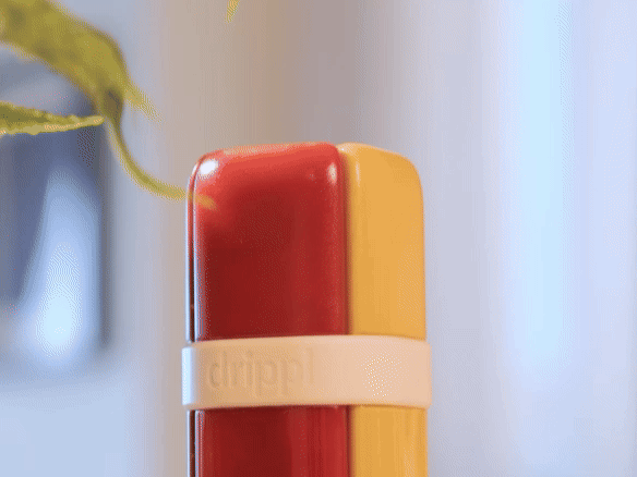 slider gallery image