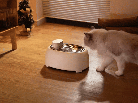 slider gallery image