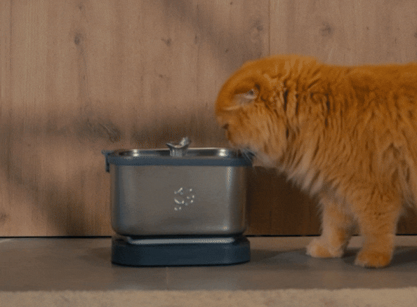 Petnimo: The Smart Stainless Fountain. No Motor Inside