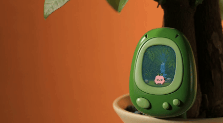 Talk to Senso and Get Instant Plant Advice!