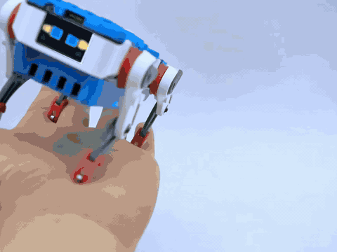 Quaddle | The World's Most Versatile Palm-Sized Robot
