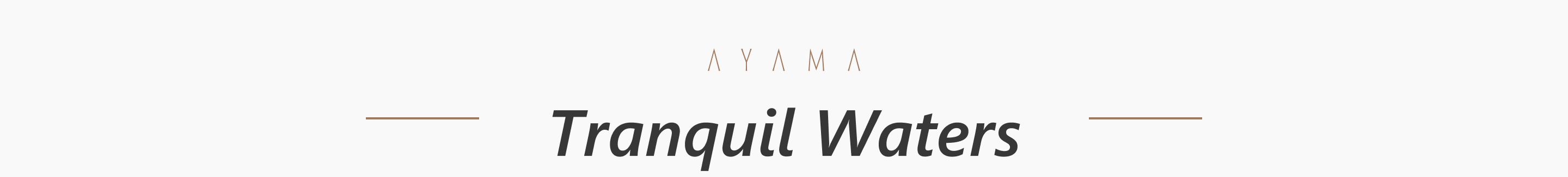 Responsive Image