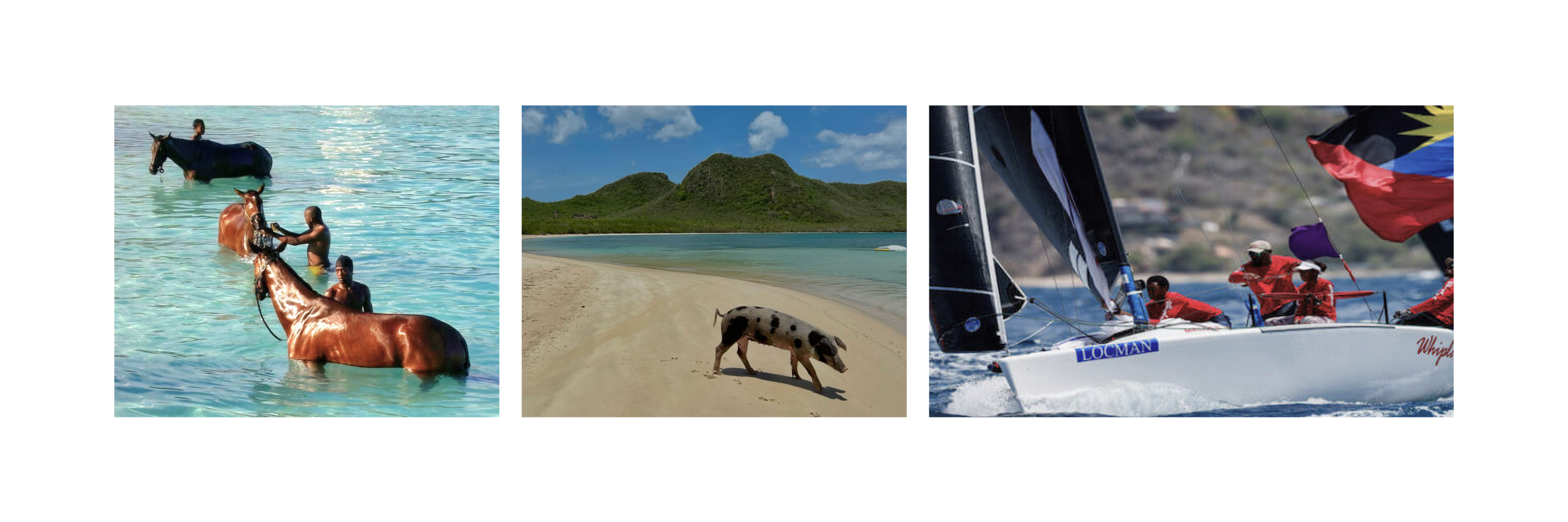 Responsive Image