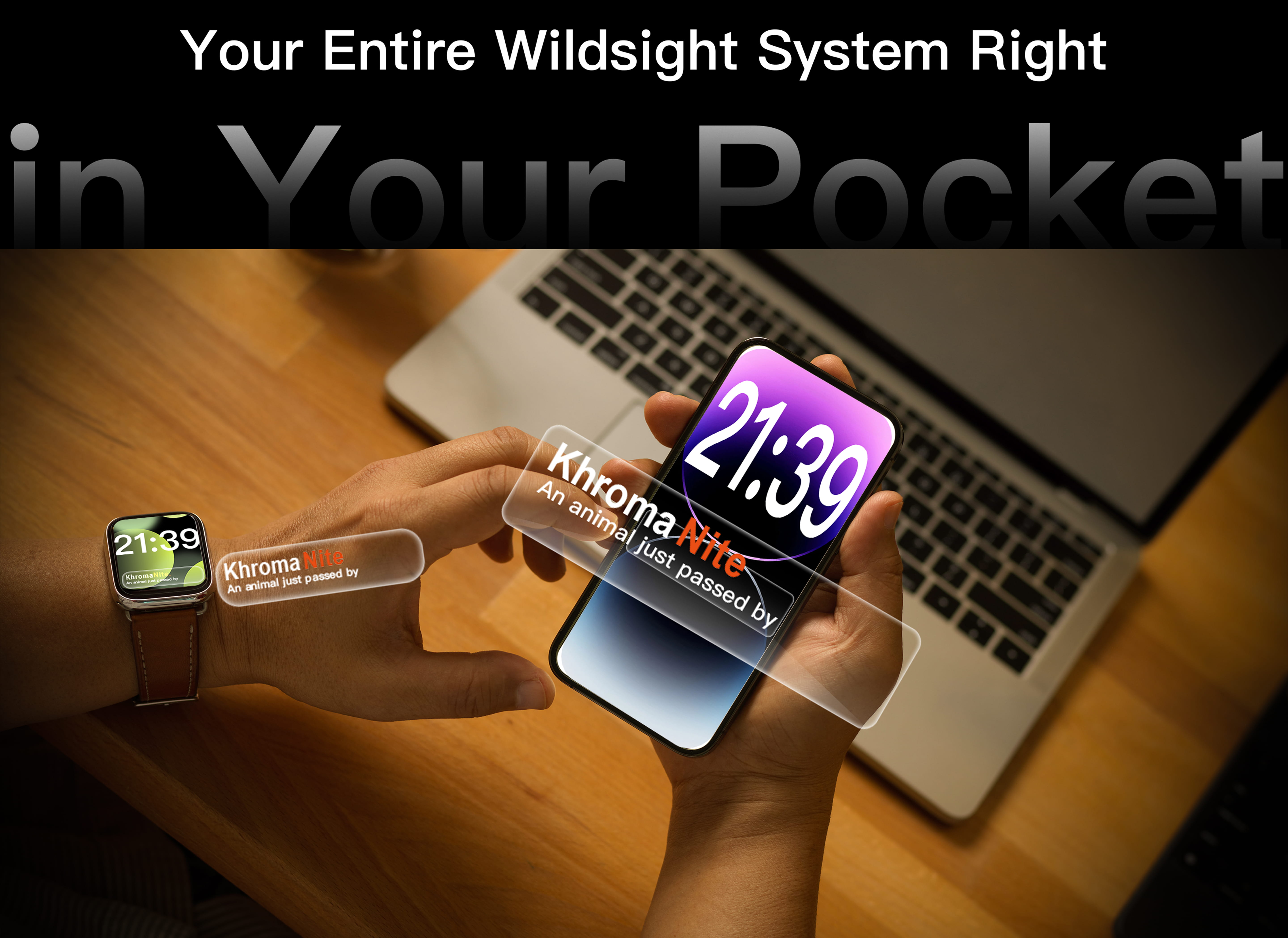 Responsive Image