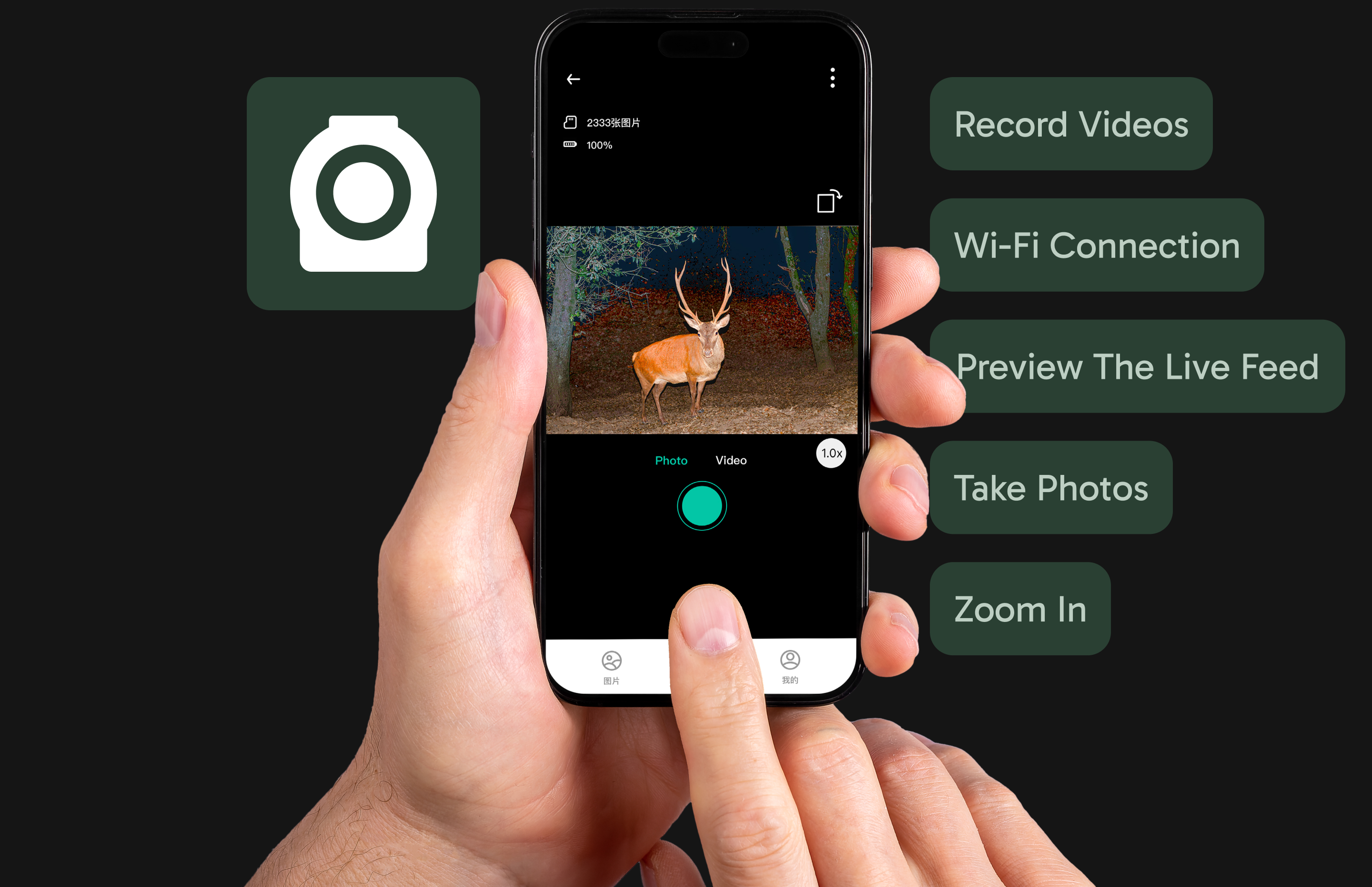 Responsive Image