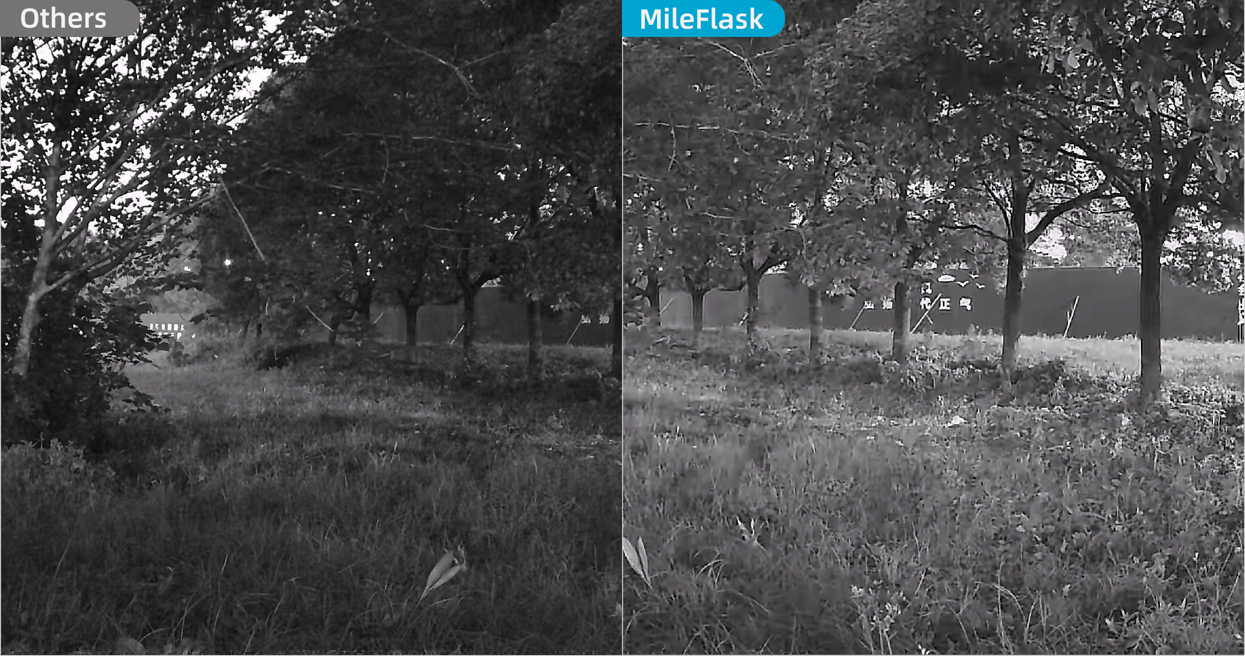 Responsive Image
