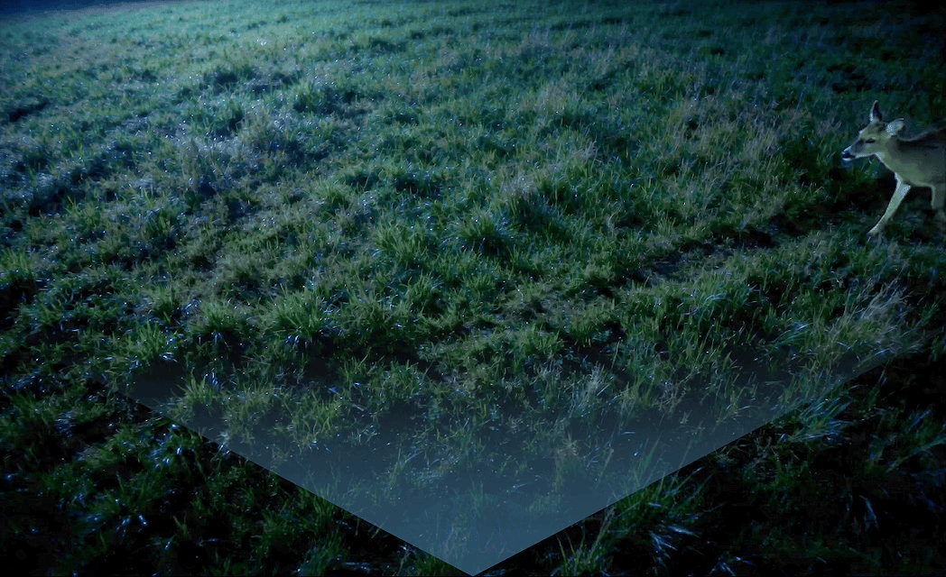 /fe94649f-c8bb-49ca-a53e-a83b710d3fef.gif
