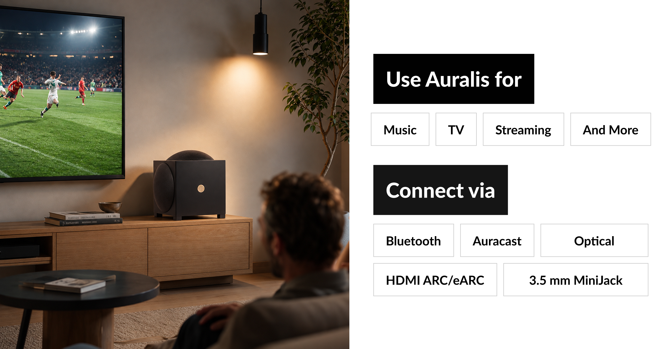 Connect It. Play Your Music. That's It.