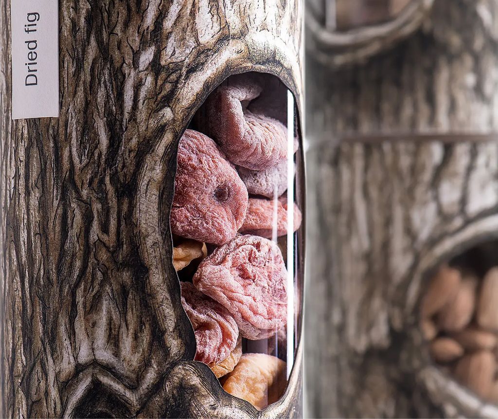 Design That Grows from Nature