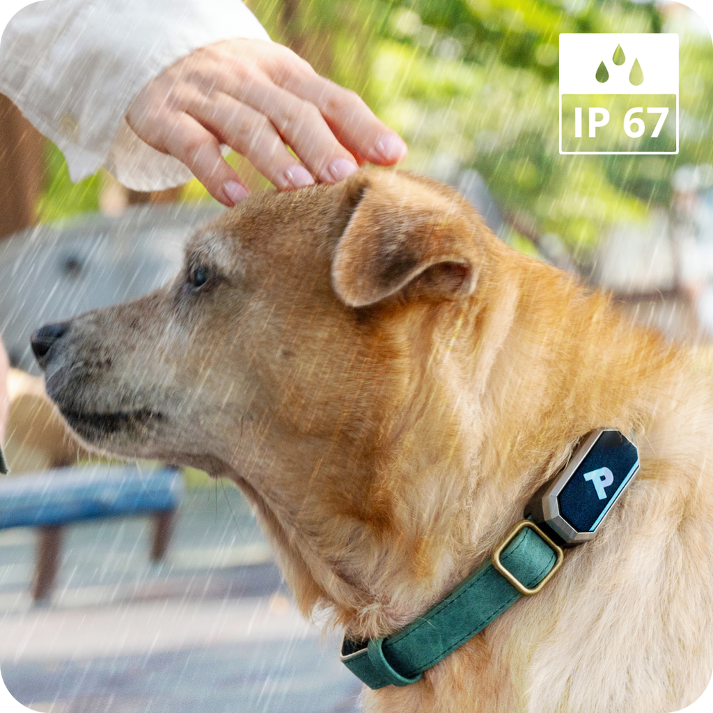 Waterproof. Life-Proof. Dog-Proof.