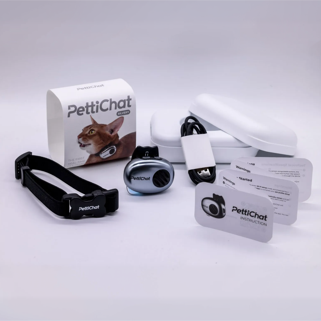 Gentle Reminders to Sit-up