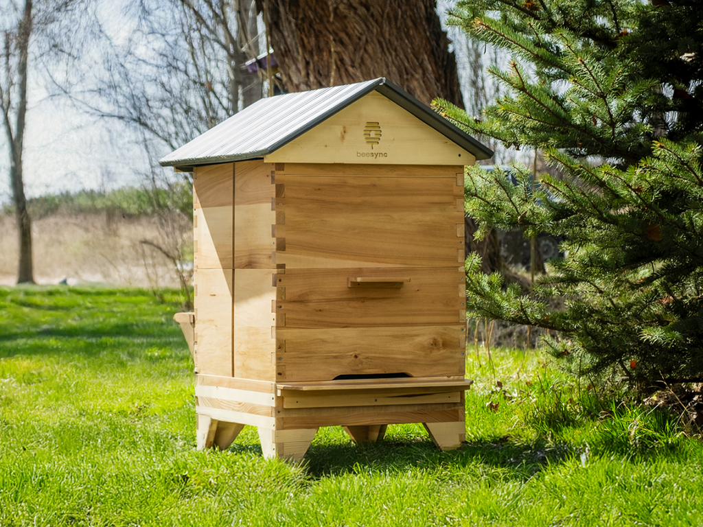 BeeSync: The World’s Smartest Beehive System