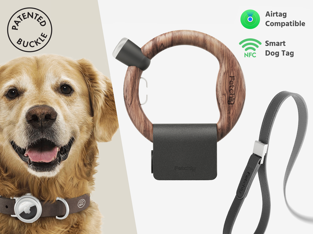 Magnetic Leash & Collar System for Effortless Walks