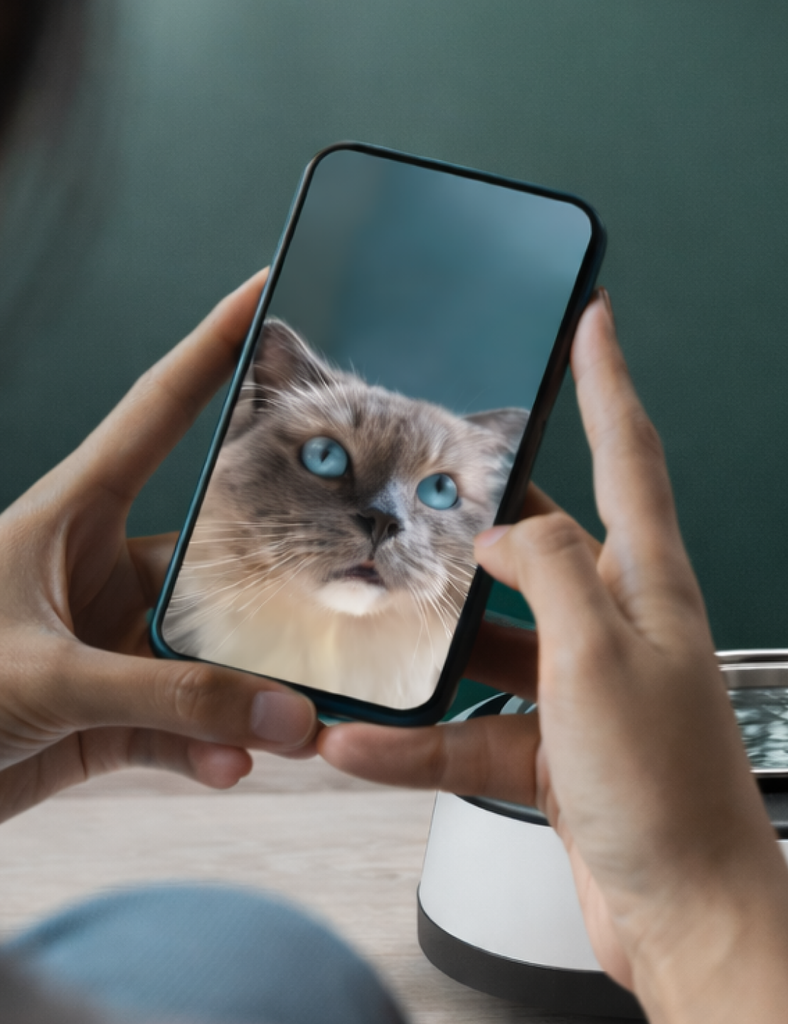 Collar-Free. Chip-Free. Stress-Free.