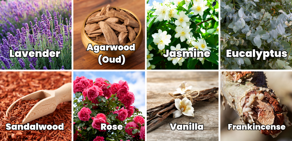 The aromatic woods we offer and their benefits