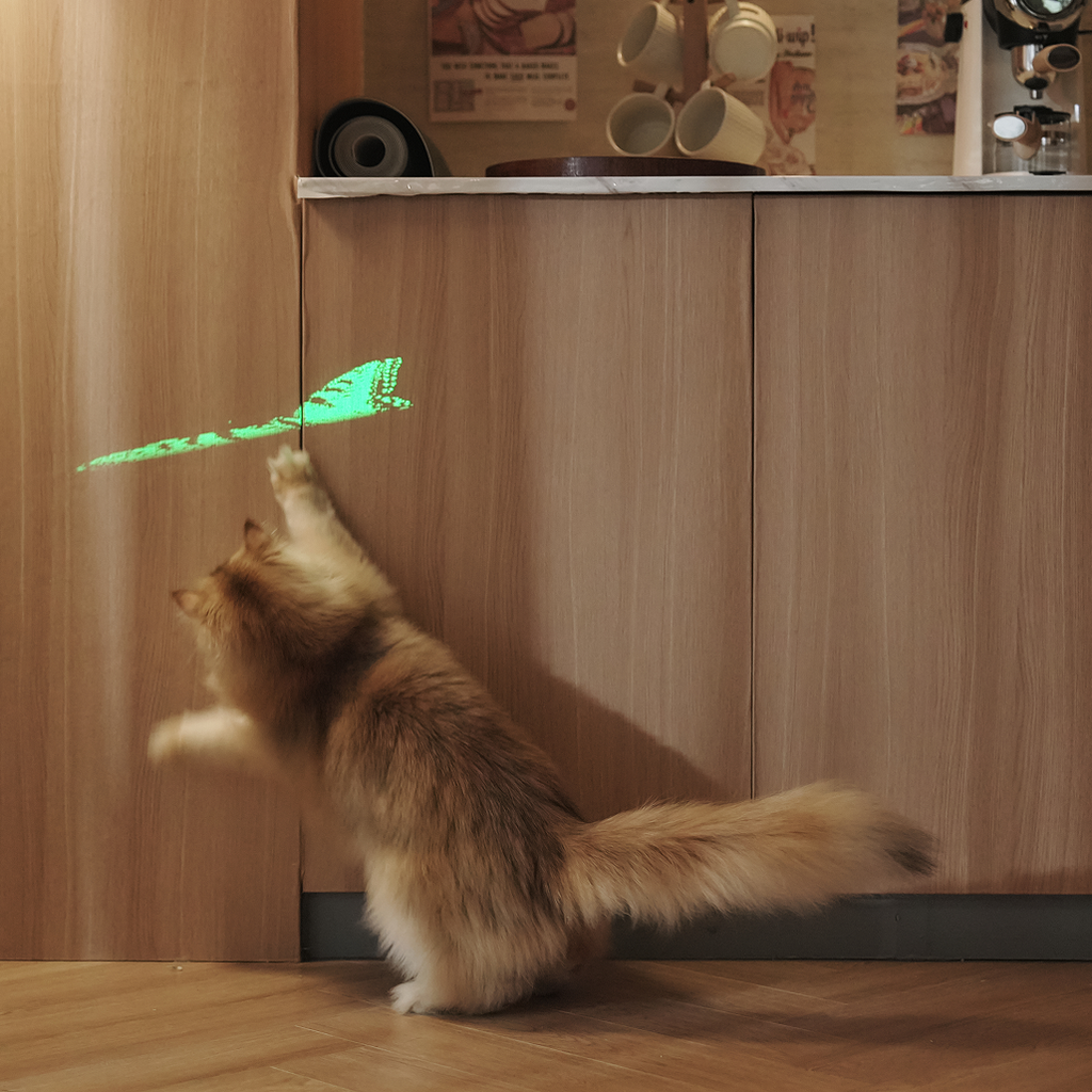 Your Cat Will Love it, Too!