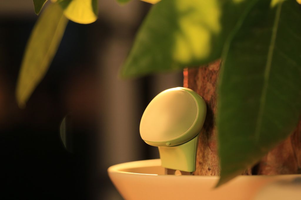 More than just one Senso, manage with Ease!