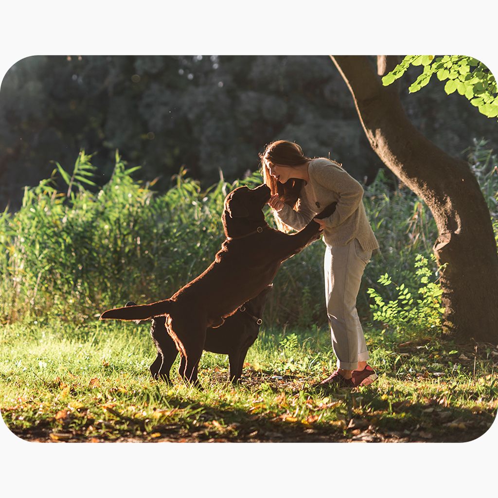 Built to Keep Up with Your Dog