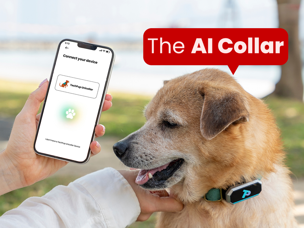 TechPup: The AI Collar That Trains, Tracks & Protects