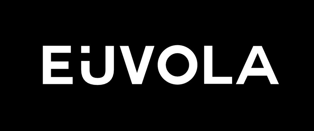 Euvola: Your Lifelong AI Companion