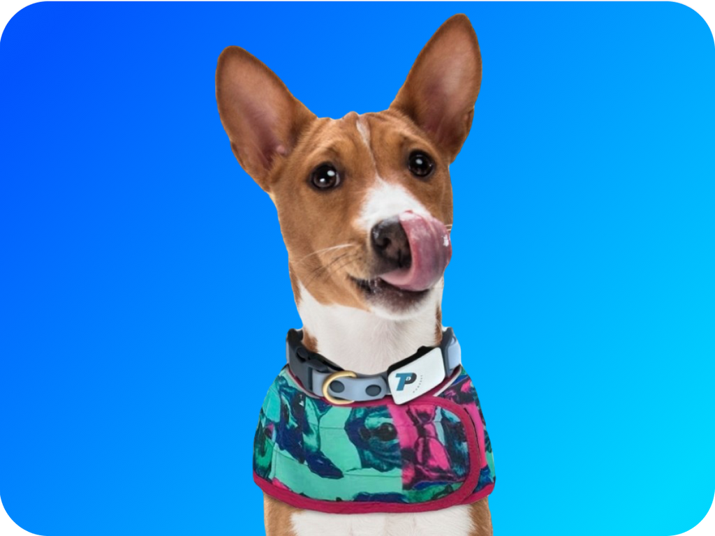 TechPup Hugvest: World's 1st AI Smart Vest To Send Hugs