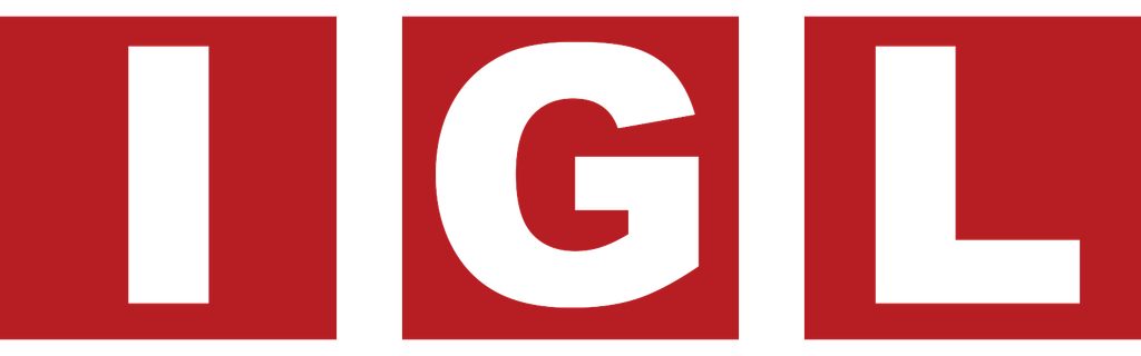 IGL Travel Hoop: Your Personal Court in Just 3 Minutes