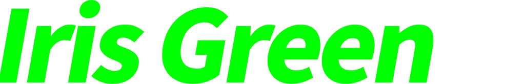 IRIS GREEN: The Personal AR Experience