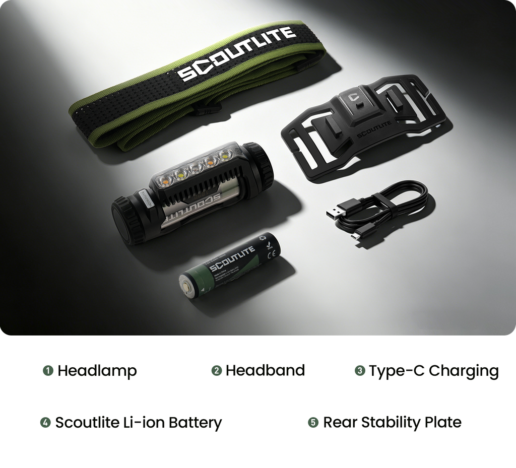 What's in the box？