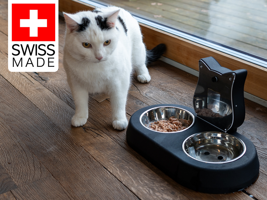 AI-Tails One: Stay on Top of Your Cat’s Health