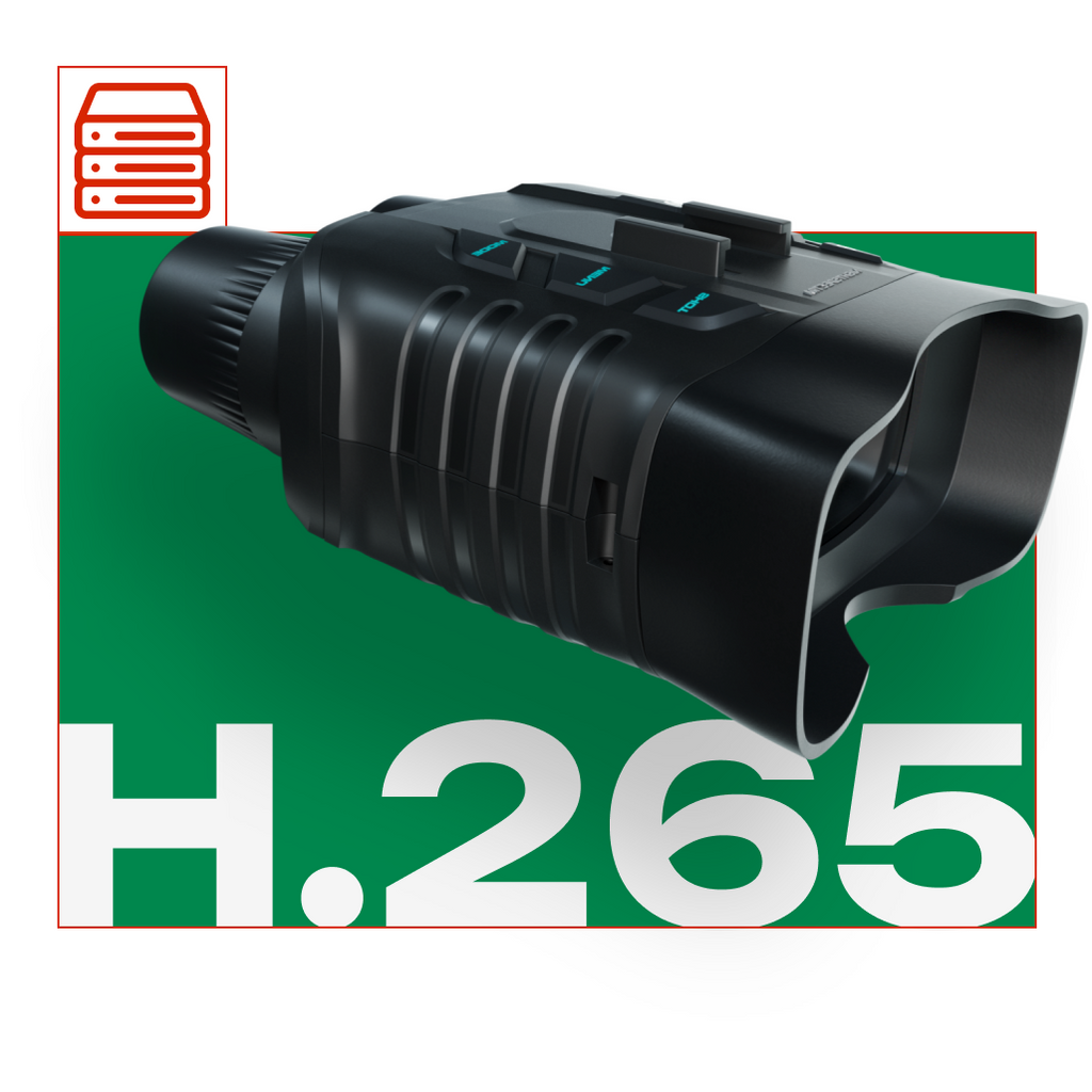 Efficient Storage: Power of H.265 Encoding